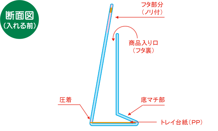 表・裏・断面3