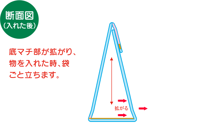 表・裏・断面4