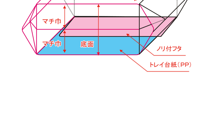 表・裏・断面2