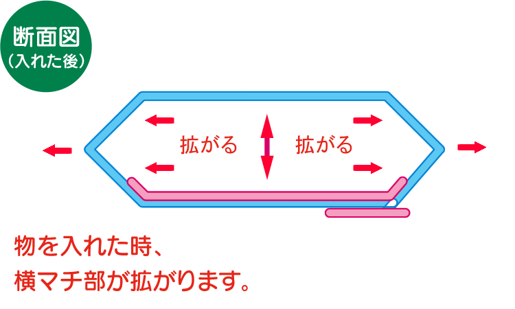 表・裏・断面4