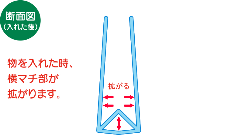 表・裏・断面4