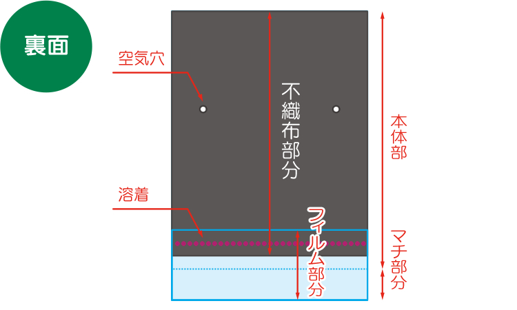 表・裏・断面4